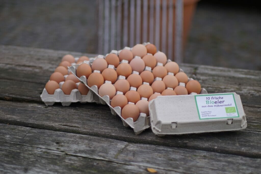 2 Paltennen Eier und eine 10er Packung Eier auf einem Tisch