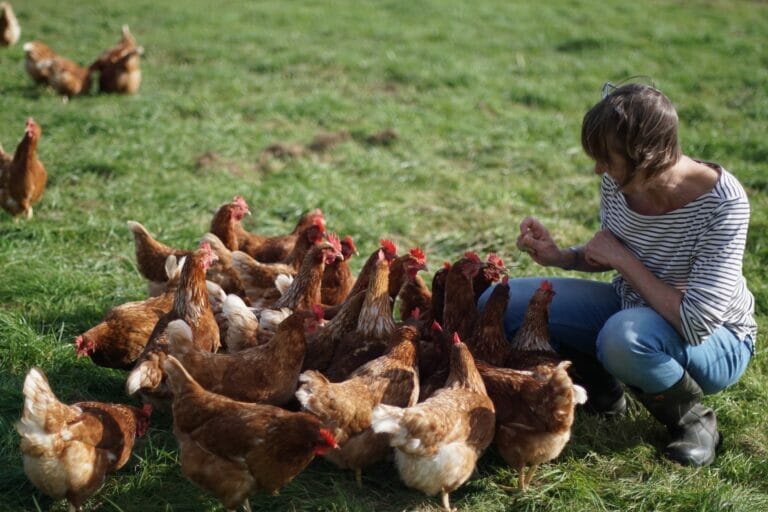 Julia Paas knie vor vielen Hühnern und füttert diese